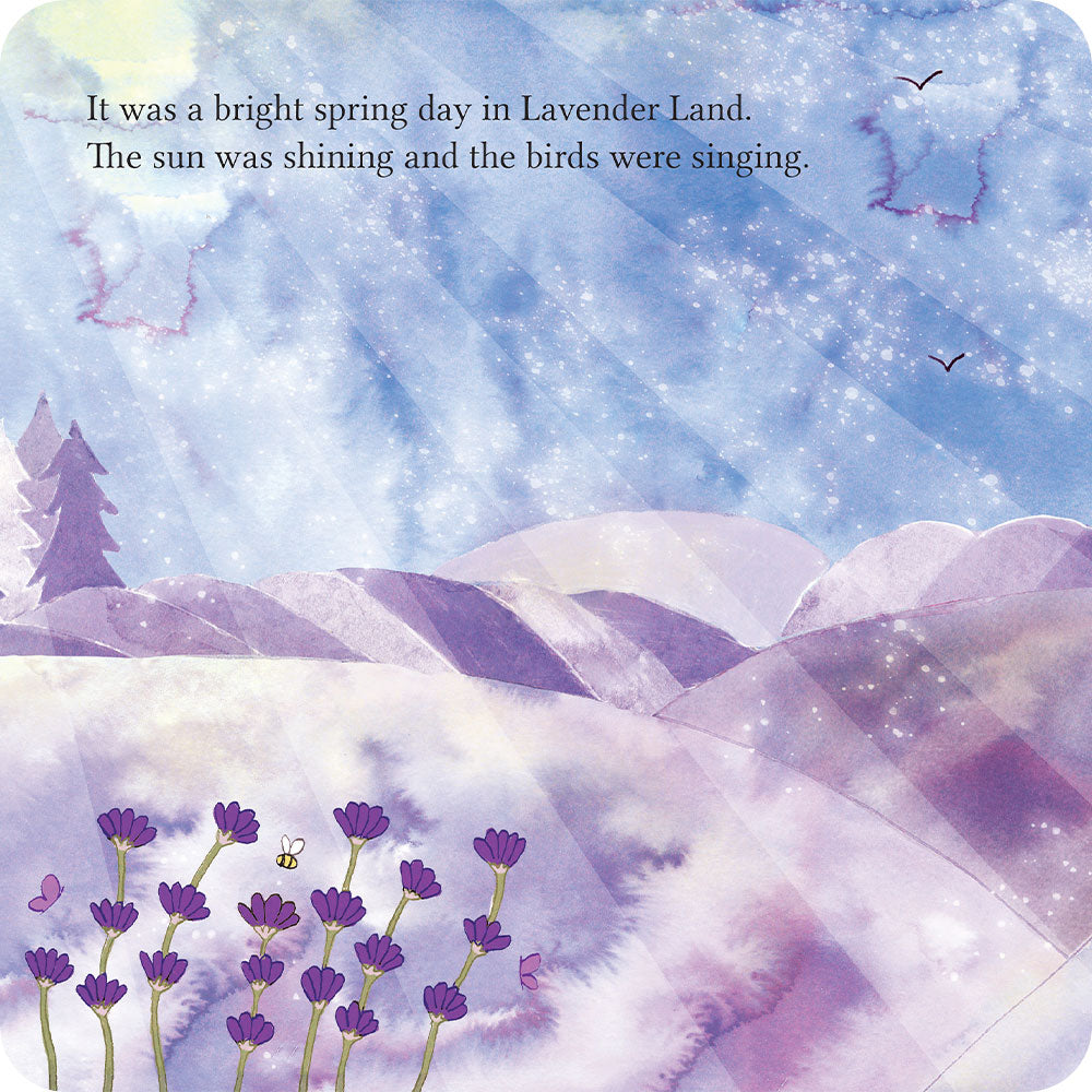 A Special Secret Place Board Book - Essential Set