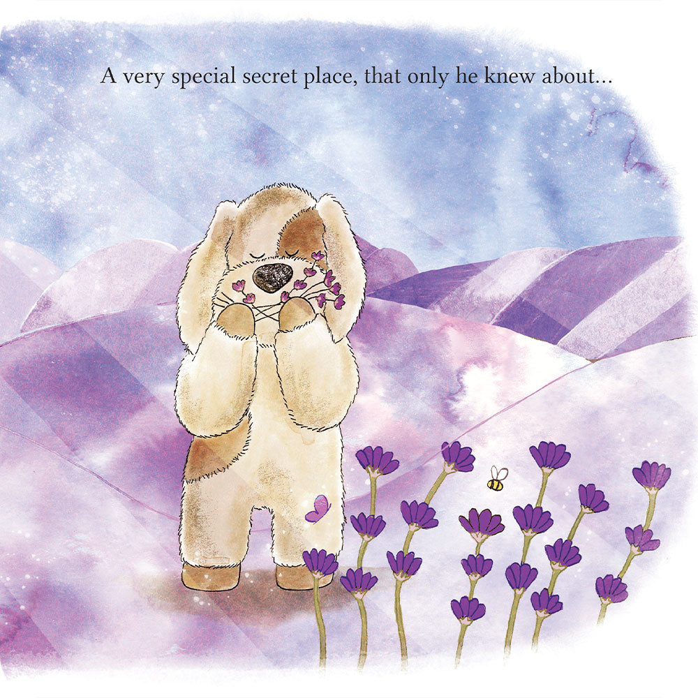 A Special Secret Place Board Book - Essential Set