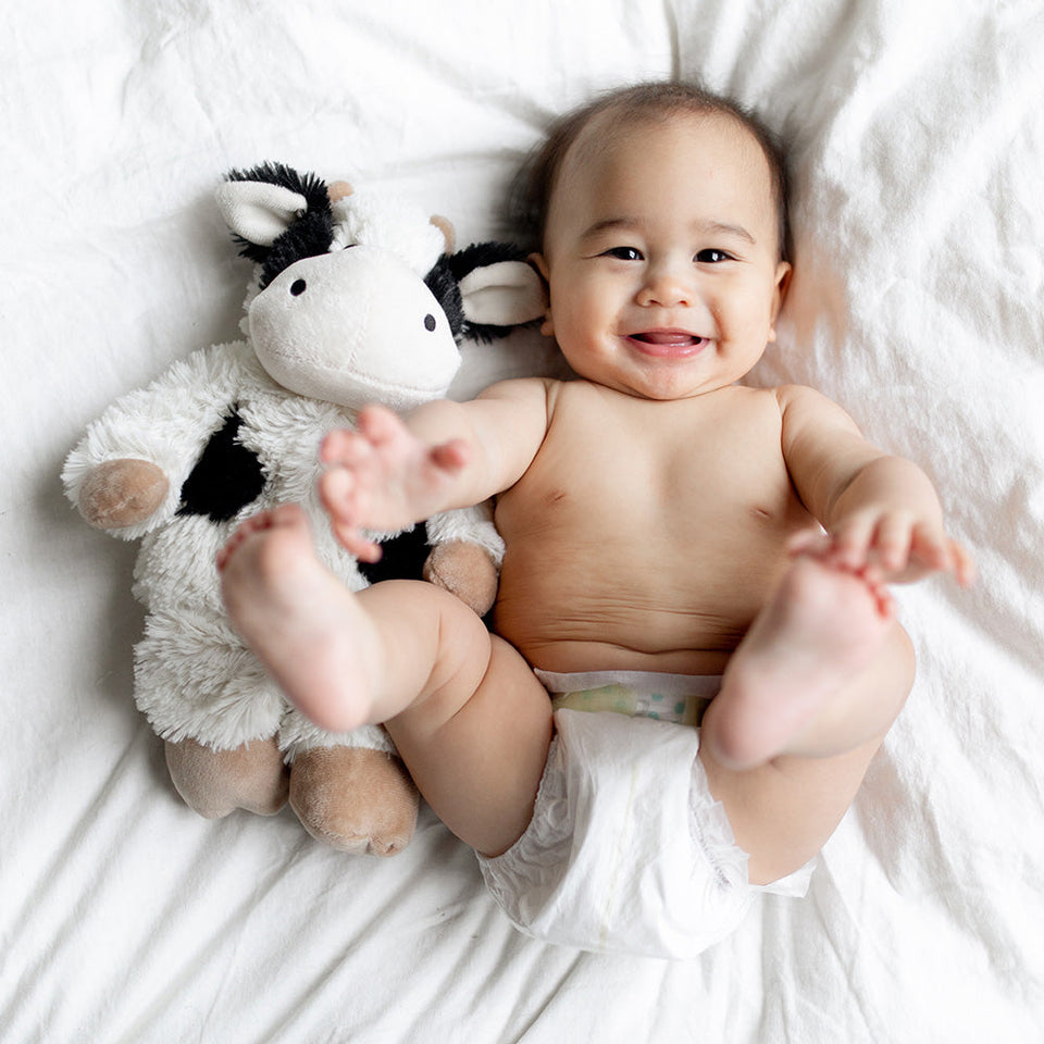 Black and White Cow Warmies - Fresh Pair
