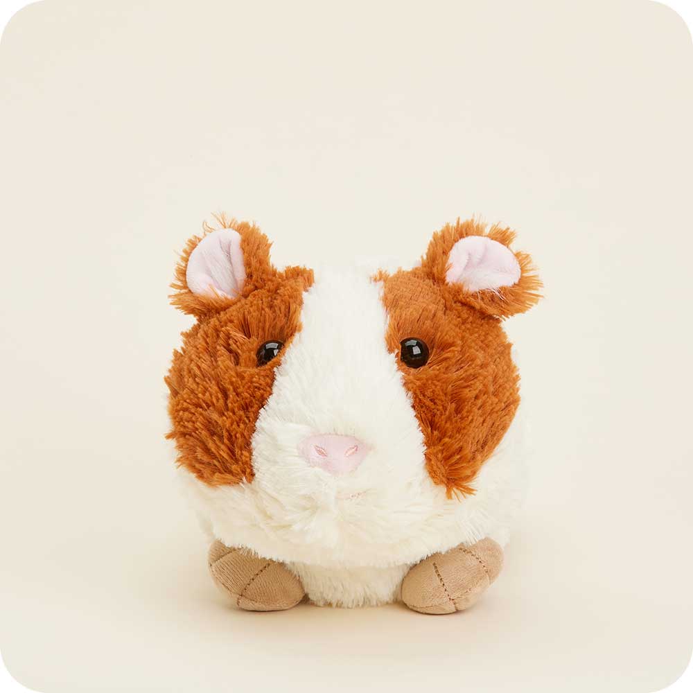 Guinea Pig Warmies - Classic Notes
