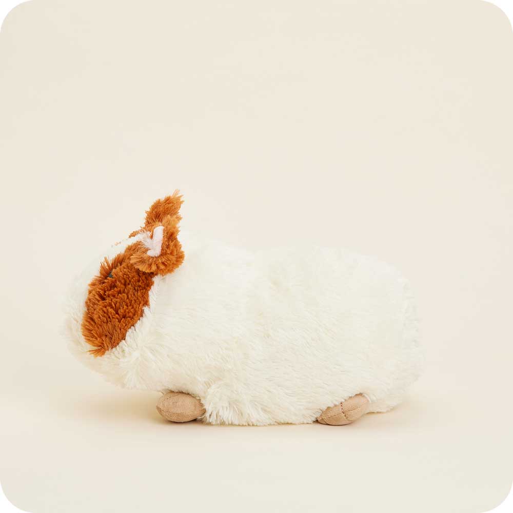 Guinea Pig Warmies - Classic Notes