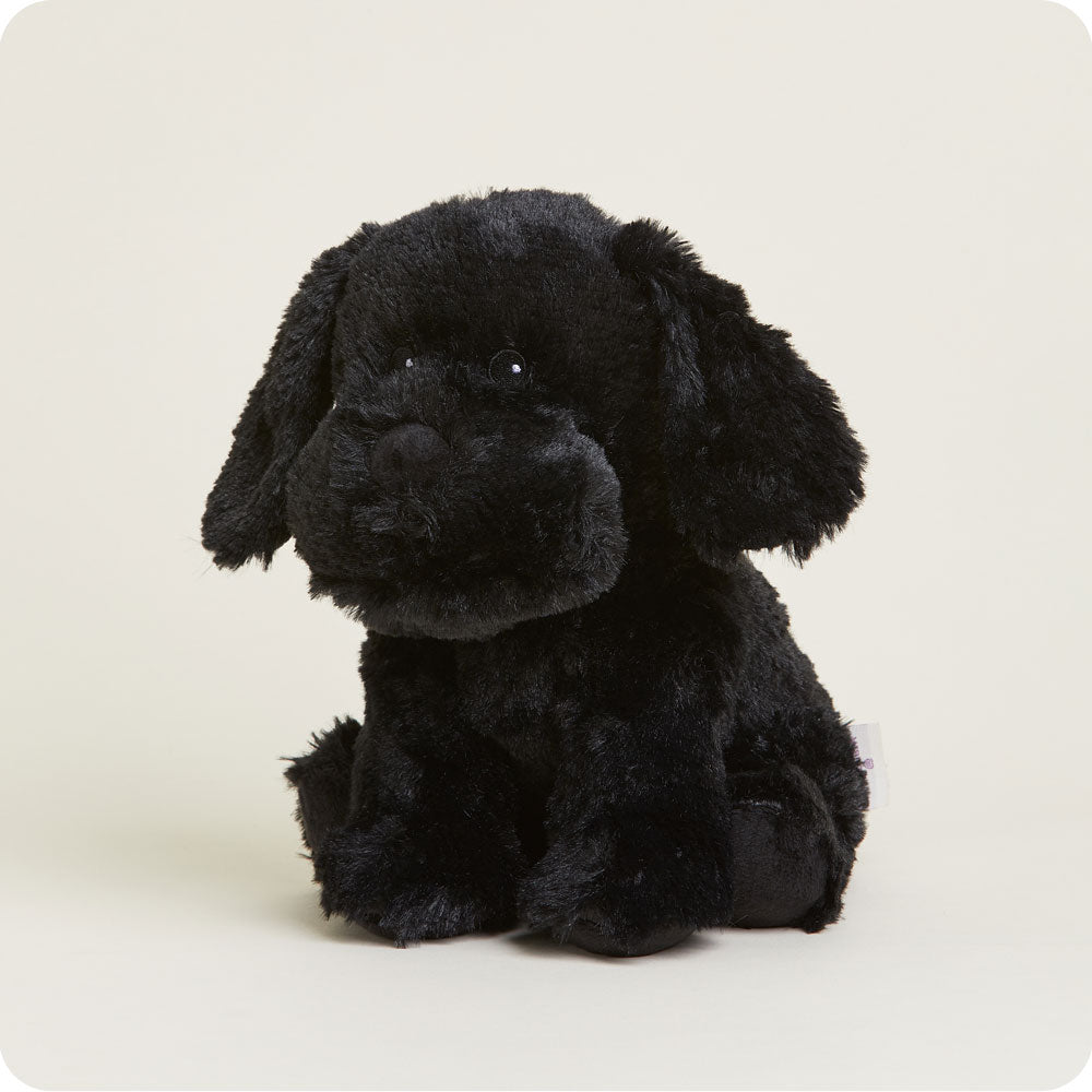 Black Labrador Warmies - Home Glow