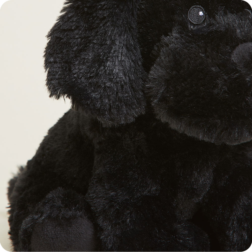 Black Labrador Warmies - Home Glow