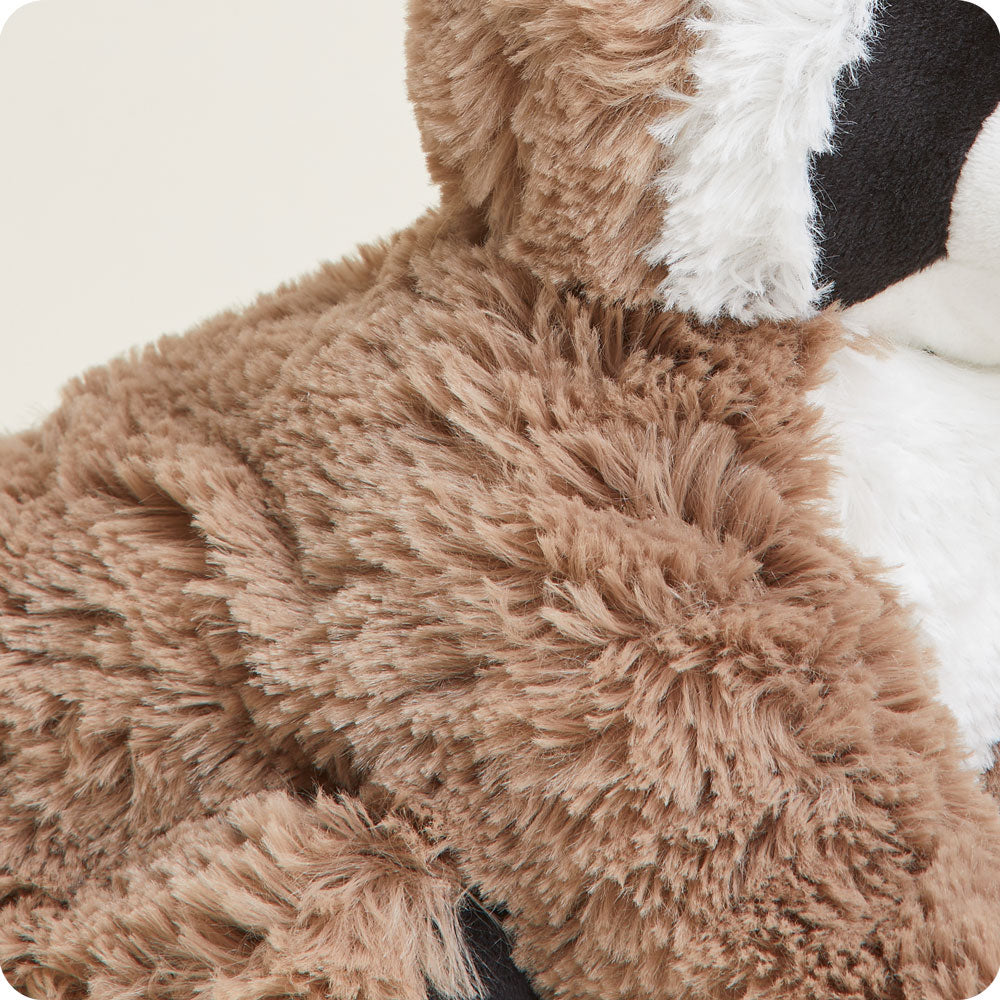 Raccoon Warmies - Daily Scent