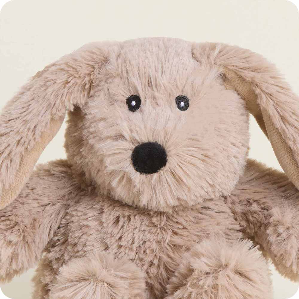 Brown Bunny Warmies Junior - Daily Scent