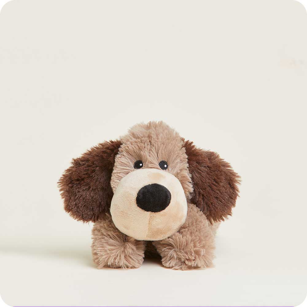 Brown Dog Warmies Junior - Bright Scent