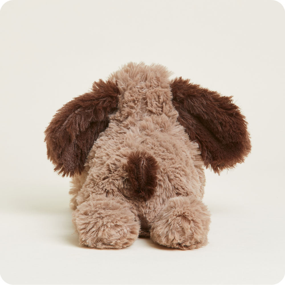 Brown Dog Warmies Junior - Bright Scent