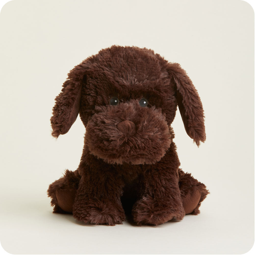 Chocolate Labrador Warmies - Cozy Glow