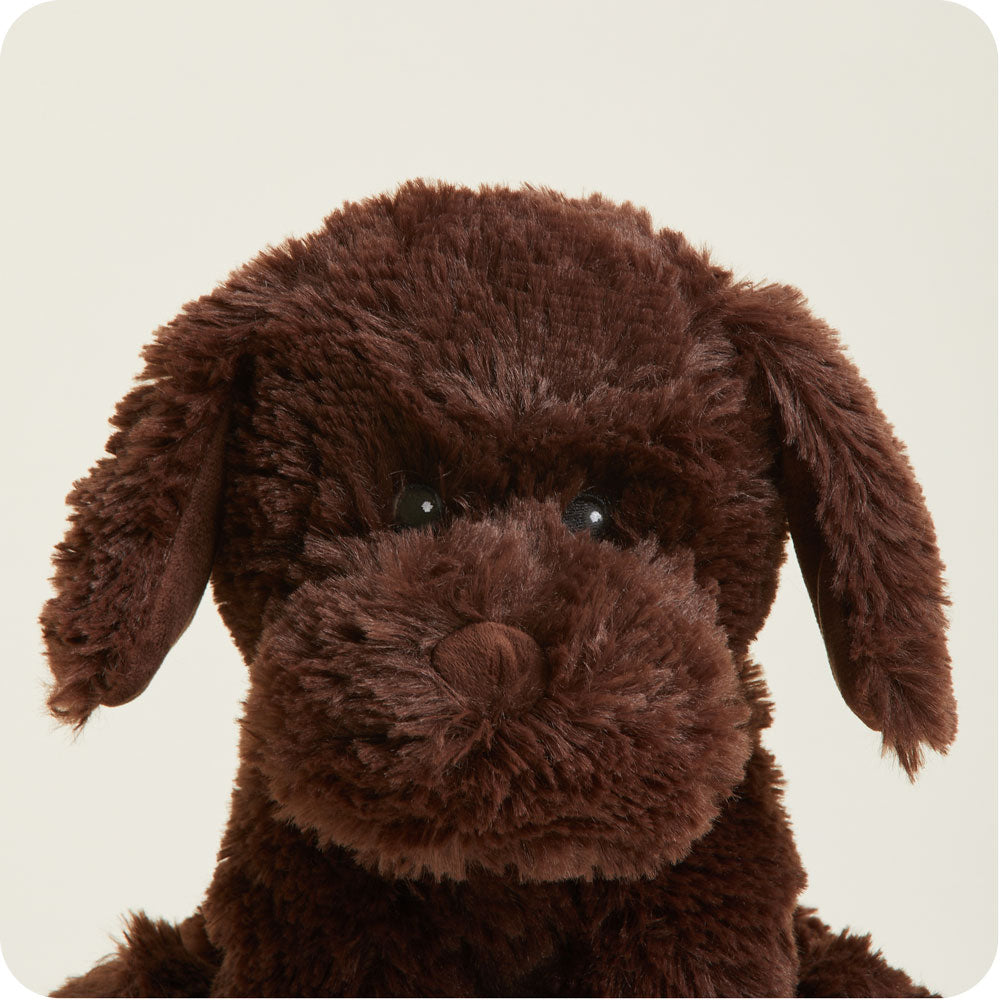 Chocolate Labrador Warmies - Cozy Glow