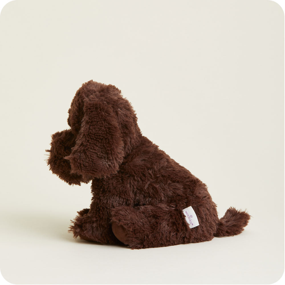 Chocolate Labrador Warmies - Cozy Glow