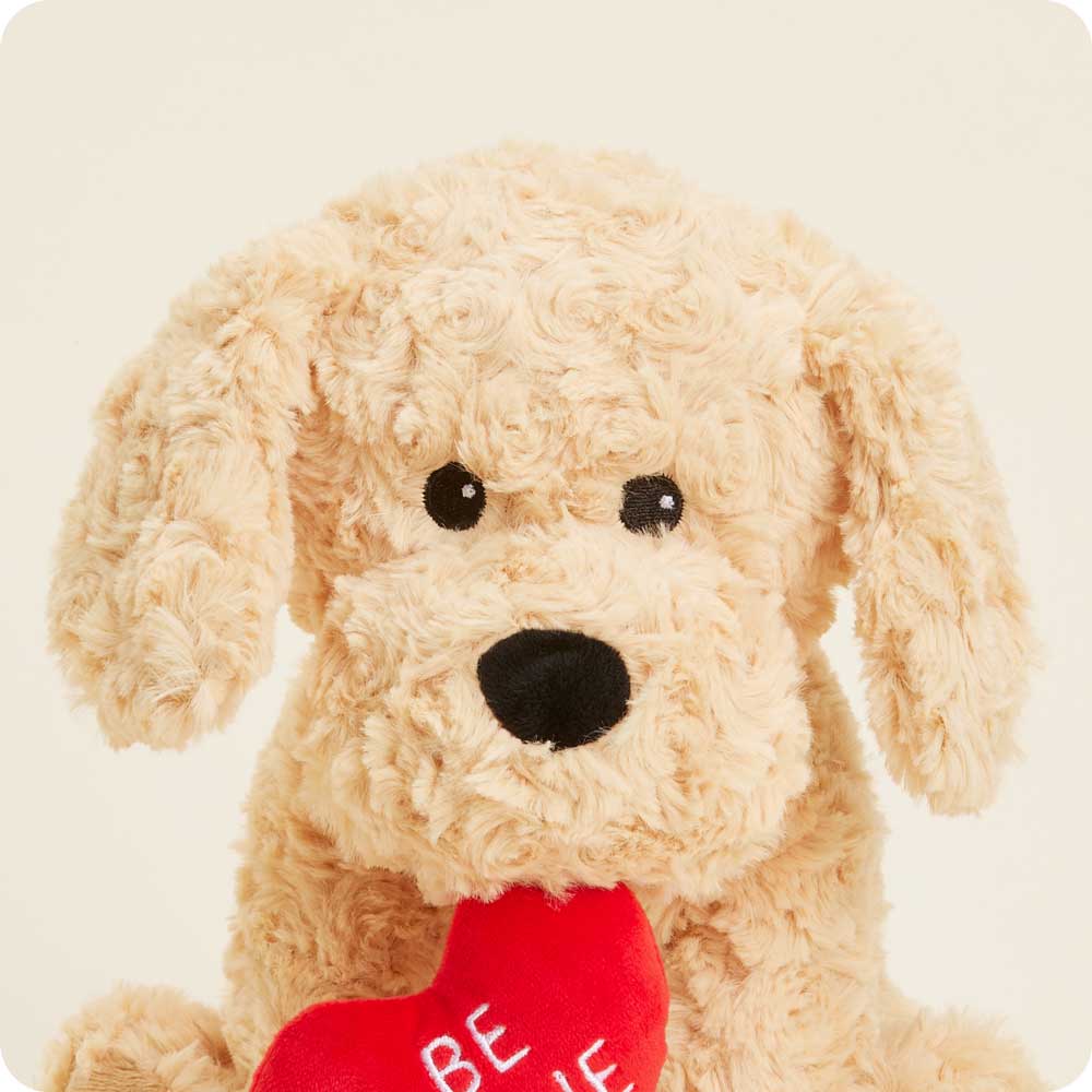 Be Mine Golden Dog Warmies - Fresh Notes