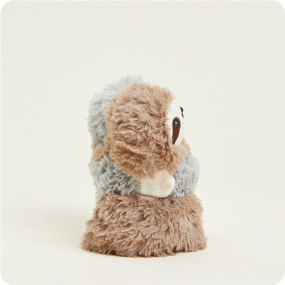 Sloth Hugs - Ready Routine