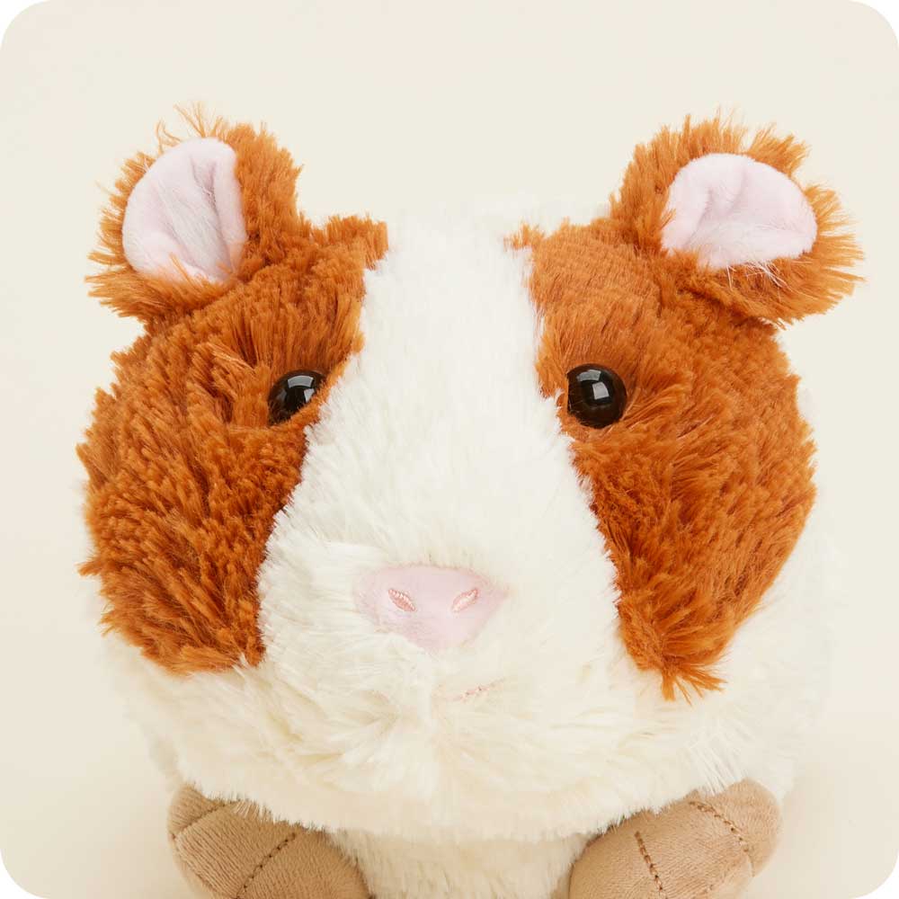 Guinea Pig Warmies - Classic Notes