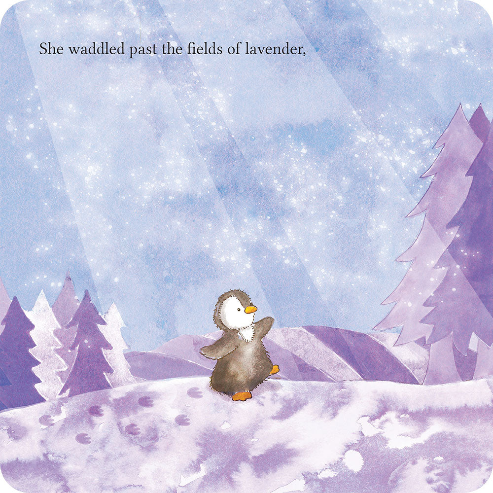 Lost in the Woods Board Book - Home Choice