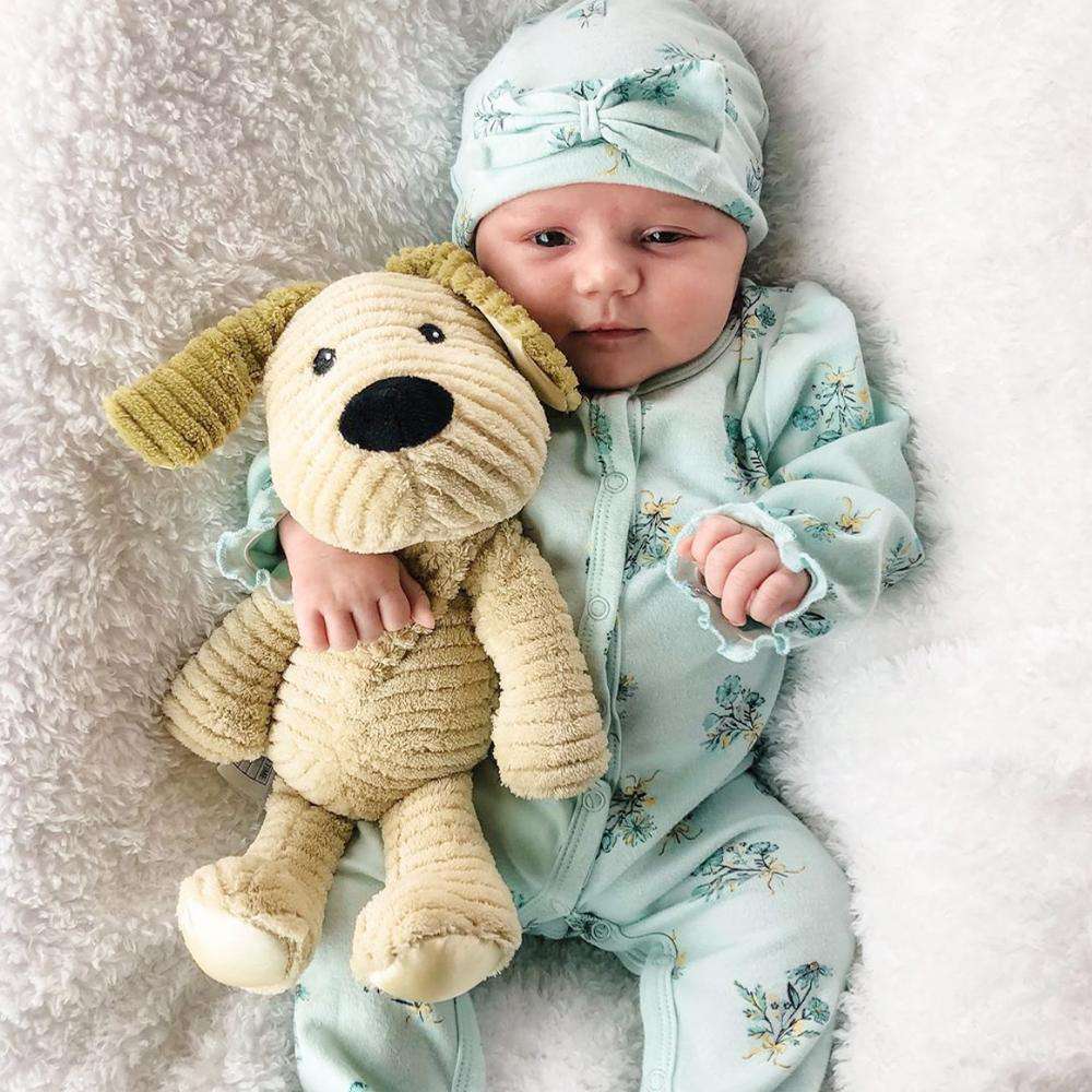 Puppy - My First Warmies - Fresh Notes