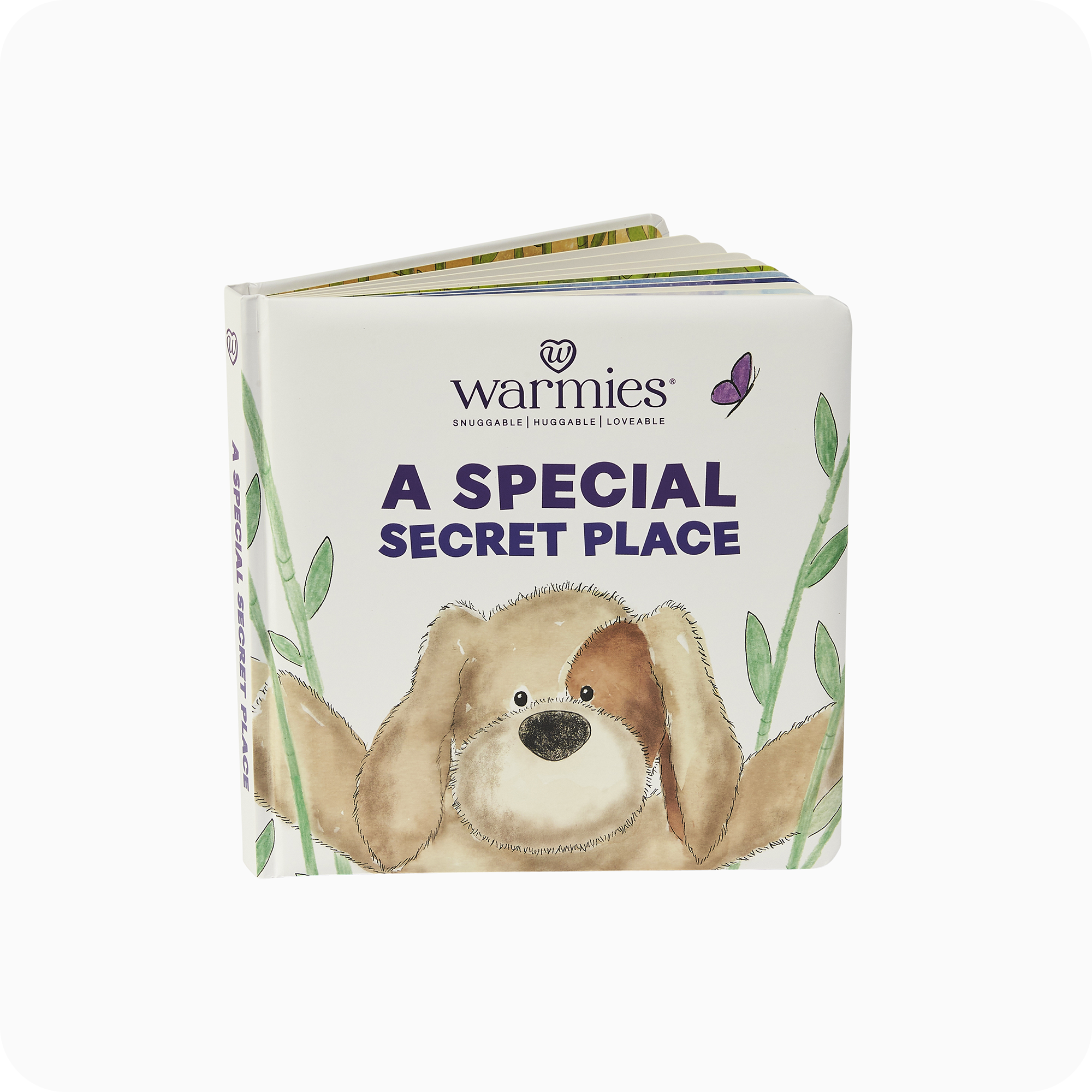 A Special Secret Place Board Book - Essential Set