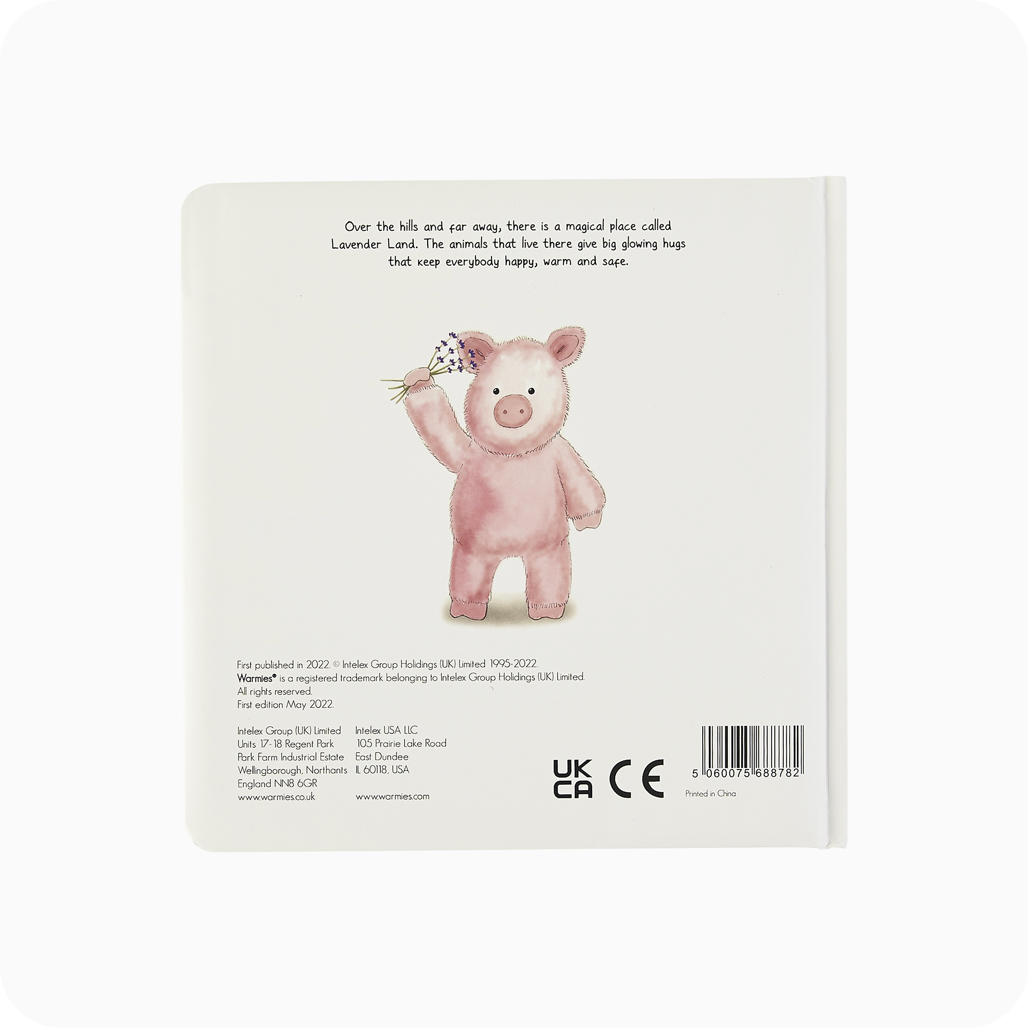 Pigs Can Fly Board Book - Easy Set