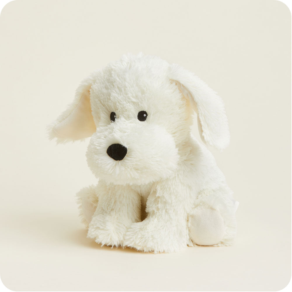 Yellow Labrador Warmies - Classic Notes