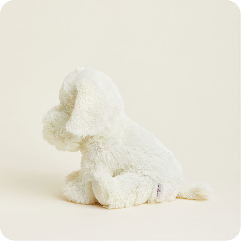Yellow Labrador Warmies - Classic Notes