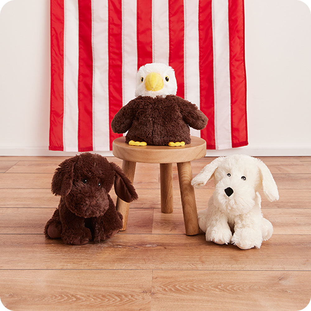 Chocolate Labrador Warmies - Cozy Glow