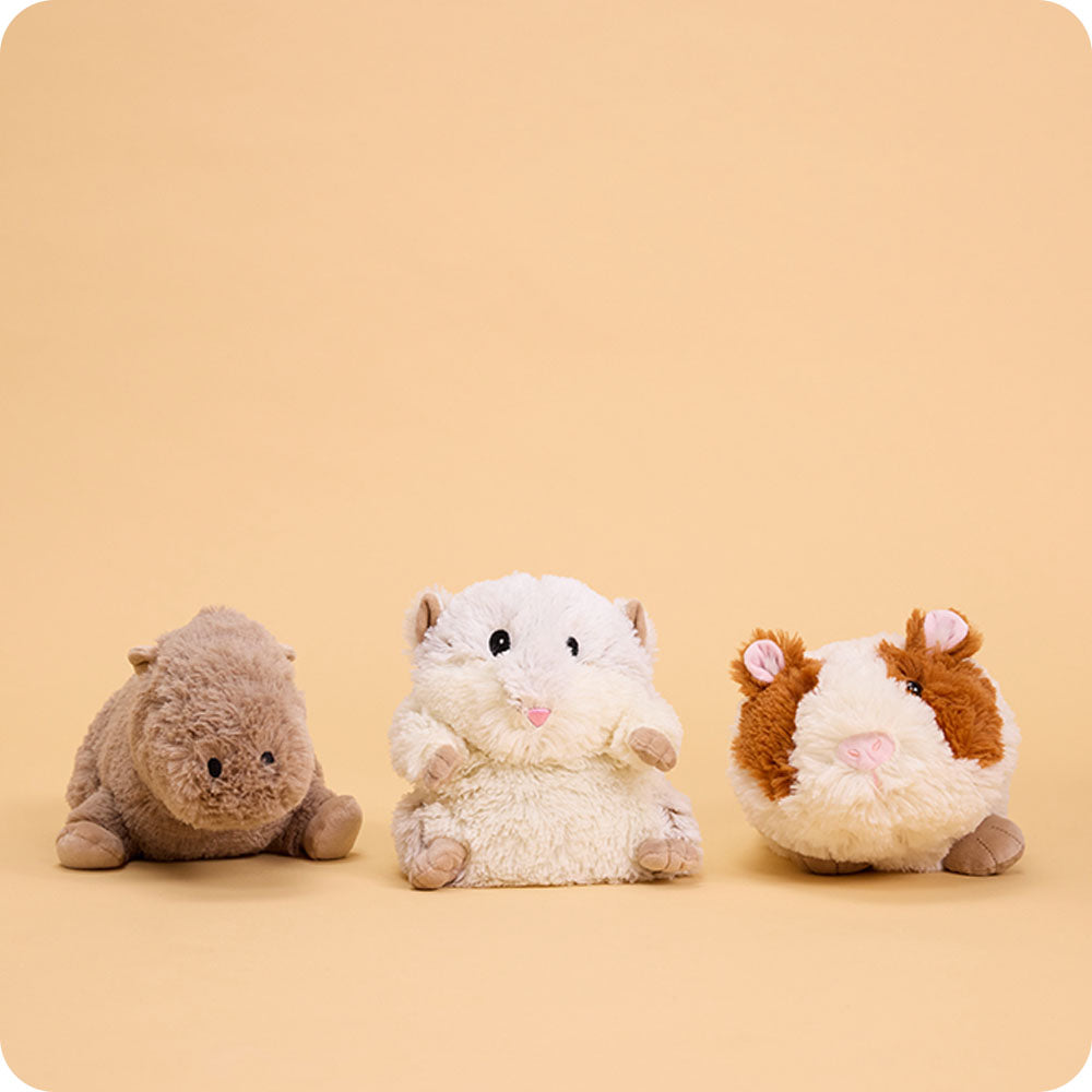 Guinea Pig Warmies - Classic Notes